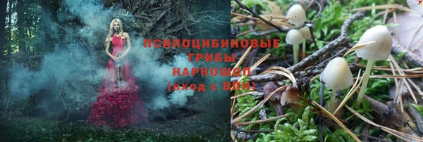 Альфа ПВП Армянск