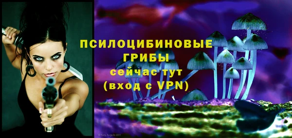 молекула духа Алексин