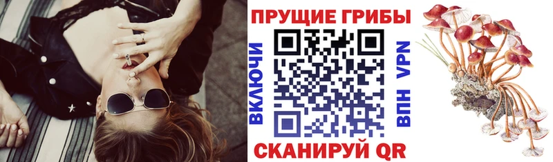 купить закладку  Усть-Илимск  Псилоцибиновые грибы ЛСД 